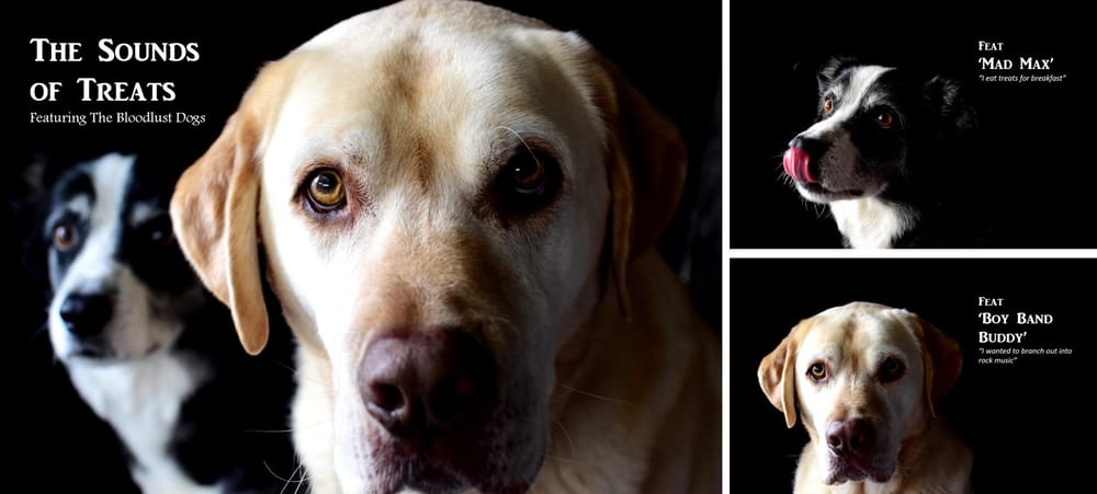 Buddy and Max - image 3 - student project