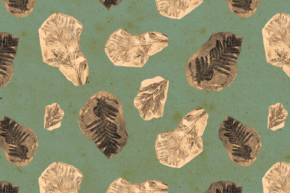 Vintage Pattern Play - image 3 - student project