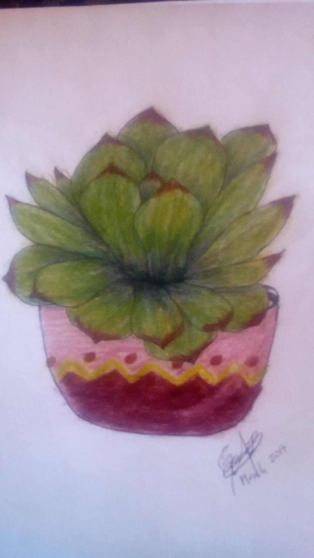 Succulent - image 4 - student project
