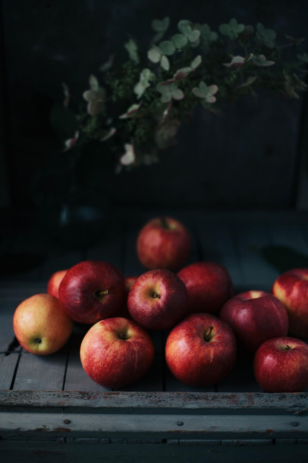 Apples and tomatillos - image 1 - student project