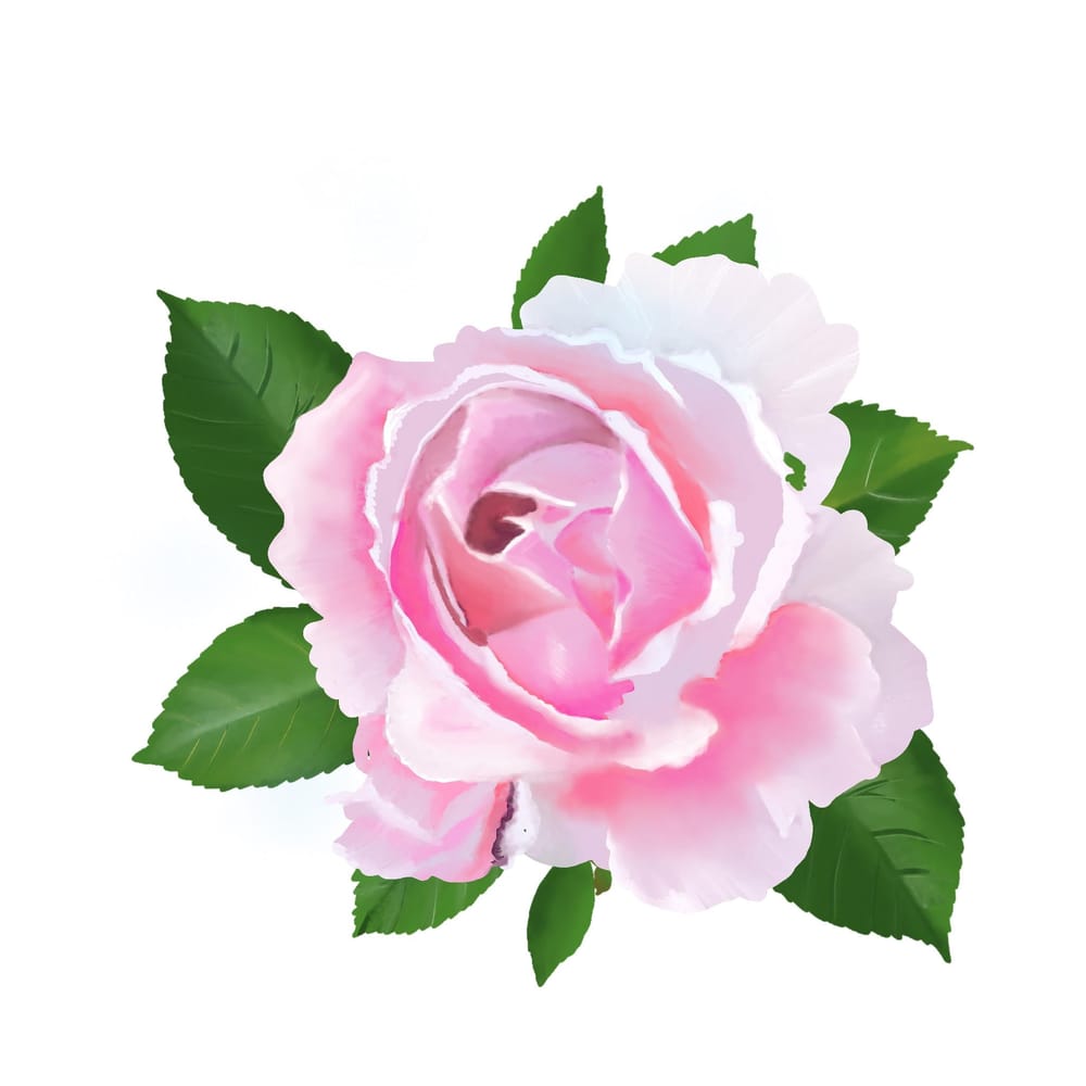Flowers - image 1 - student project