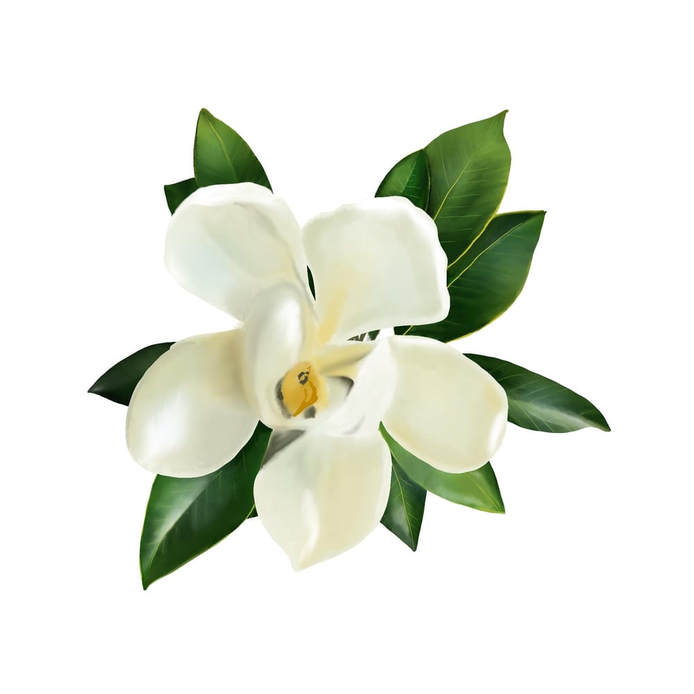 Flowers - image 2 - student project