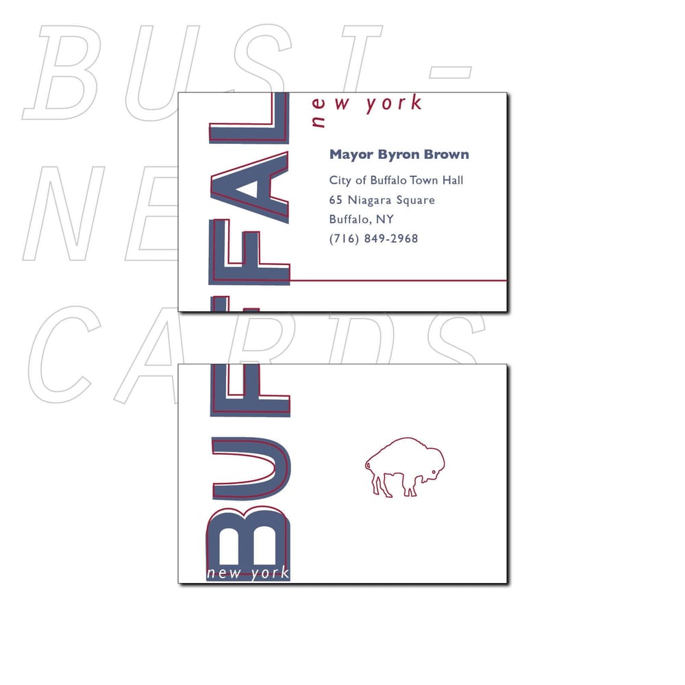 Buffalogo - image 4 - student project
