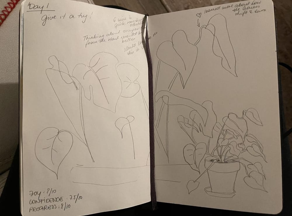 Enaz's 14 days of Mindset Challenge - image 1 - student project