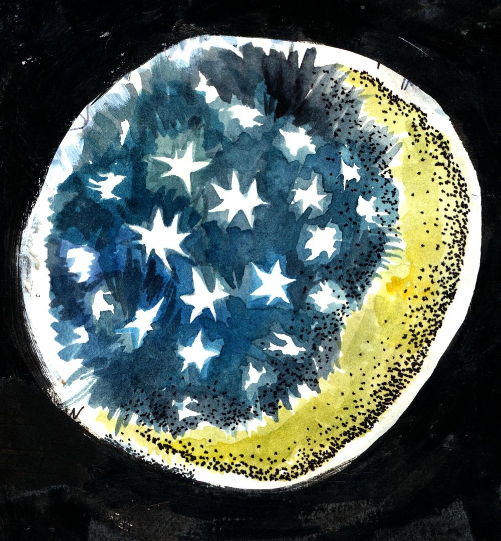 Five experiments - image 5 - student project