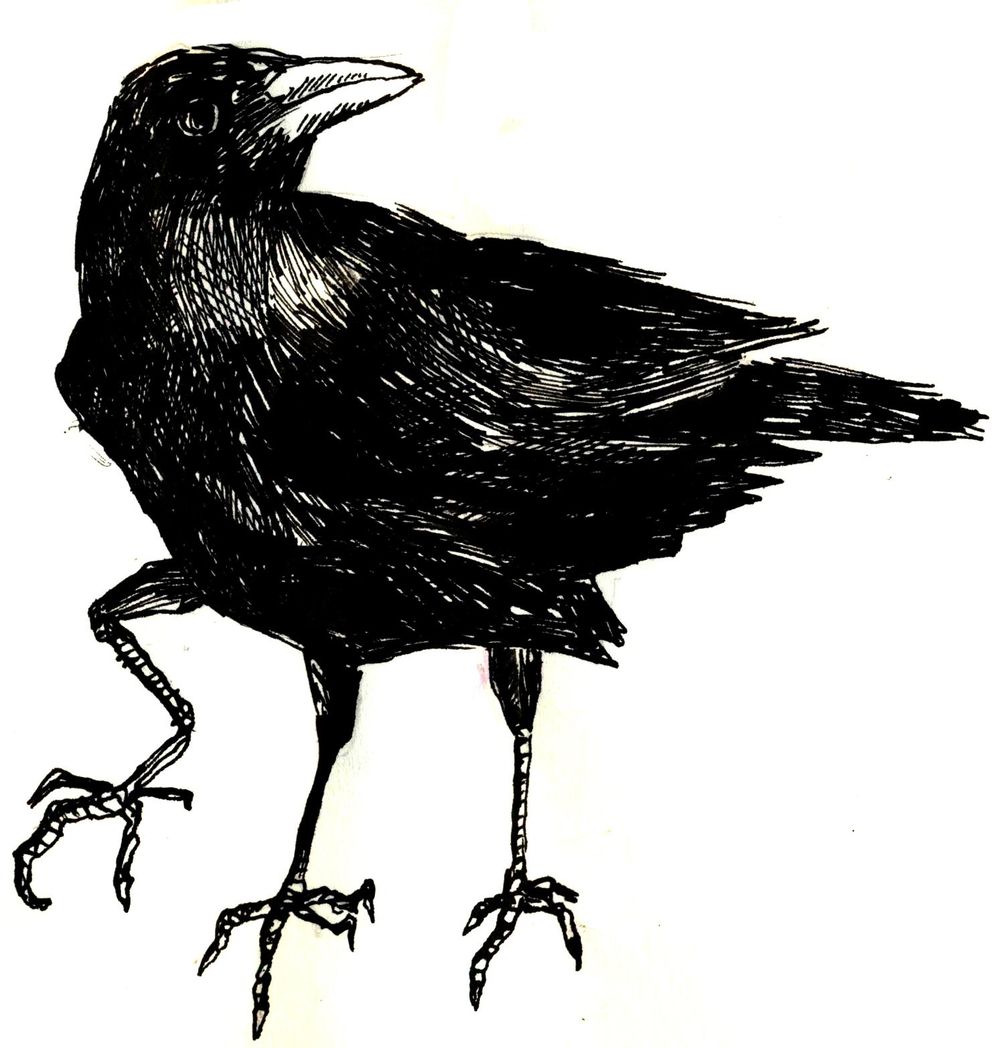 Three crows - image 2 - student project