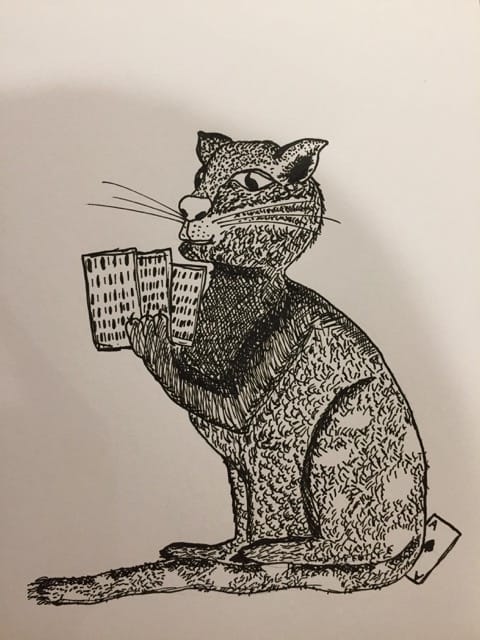 The cat - image 7 - student project