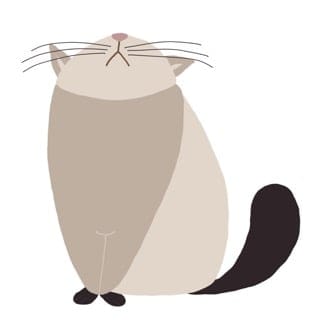 The cat - image 6 - student project