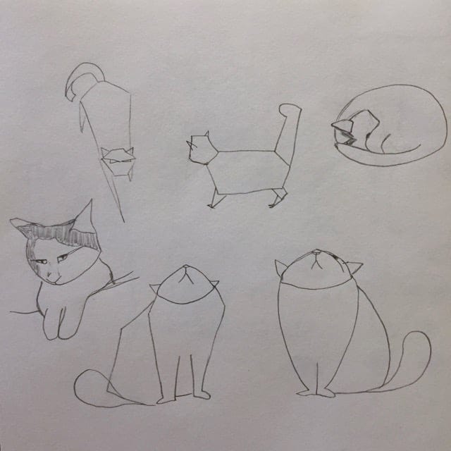 The cat - image 4 - student project