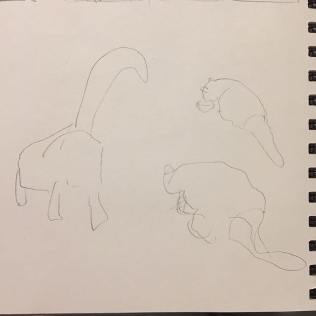The cat - image 2 - student project