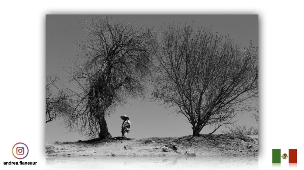 Verbal Incidence - Photographs for united latin america - image 2 - student project