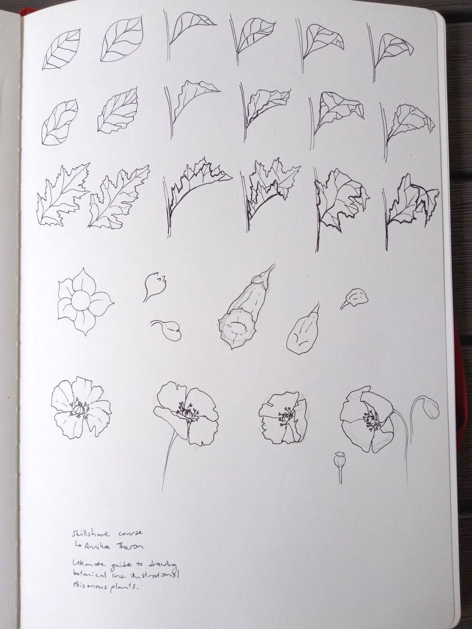 Comprehensive course - image 1 - student project