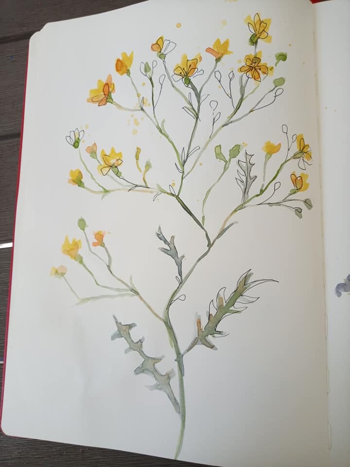 Fun loose watercolour flowers - image 1 - student project