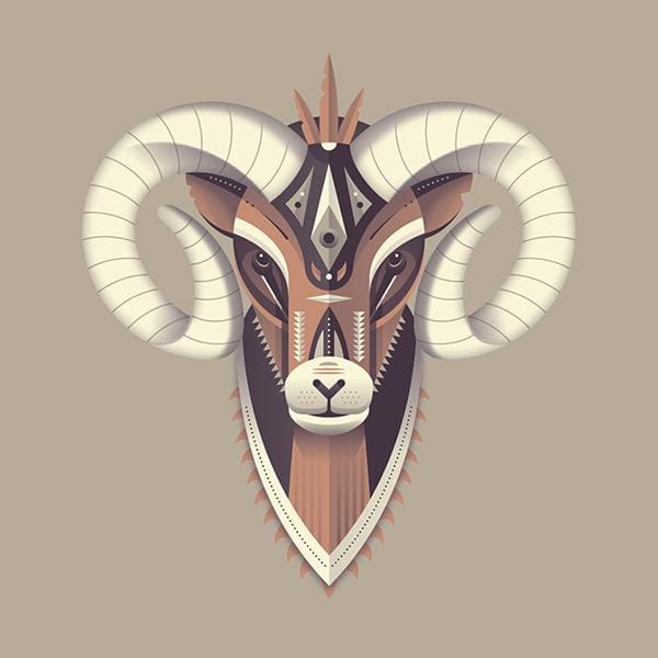 Bighorn Sheep - image 4 - student project