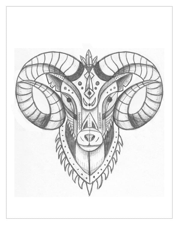 Bighorn Sheep - image 2 - student project