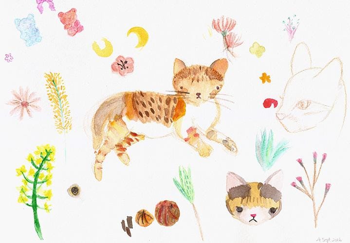 Garden kitty - image 1 - student project