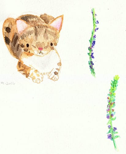 Garden kitty - image 2 - student project