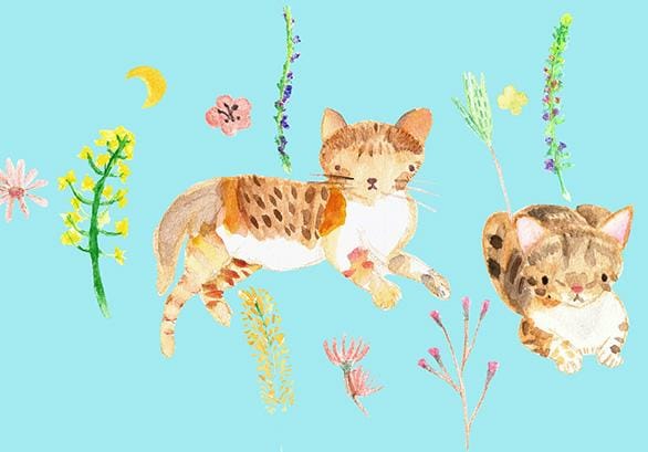 Garden kitty - image 3 - student project