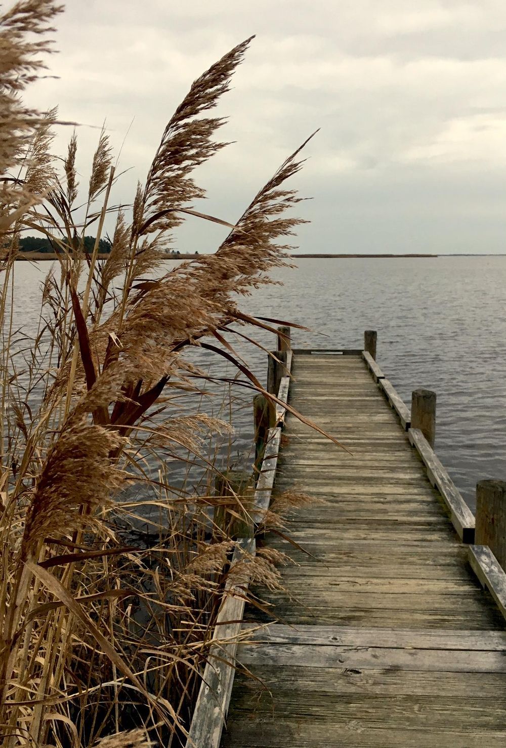 Back Bay, Virginia at Sunrise - image 1 - student project