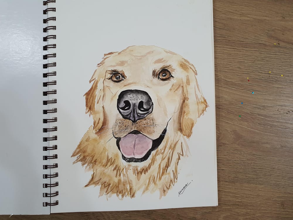 Golden Retriever - image 1 - student project