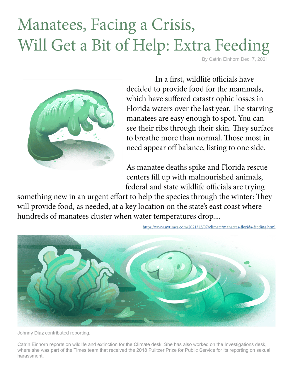 Example of Editorial Illustration & Layout - image 2 - student project