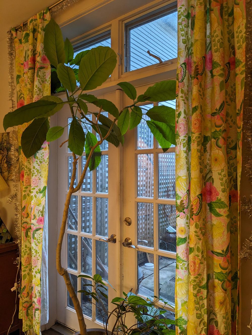 Batik Curtains - Hollyhocks, Peonies, Butterflies - image 4 - student project