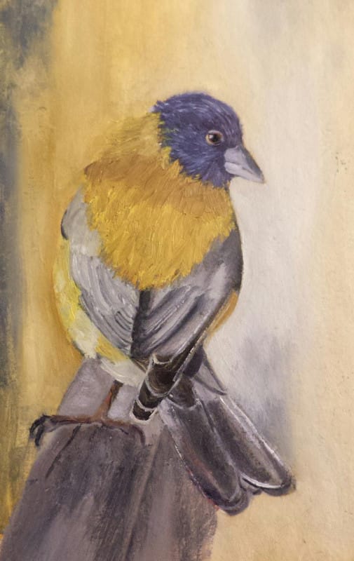 Bird - image 1 - student project