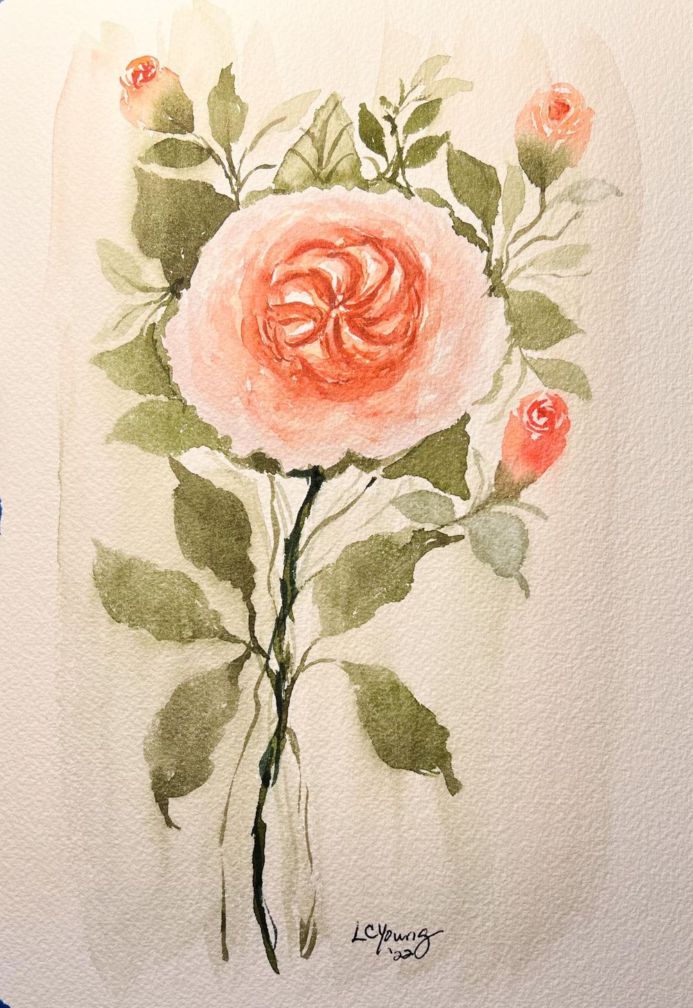 Joly’s Demystifying English Rose Class - image 3 - student project