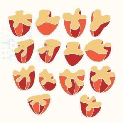 Mushrooms (class project) - image 2 - student project