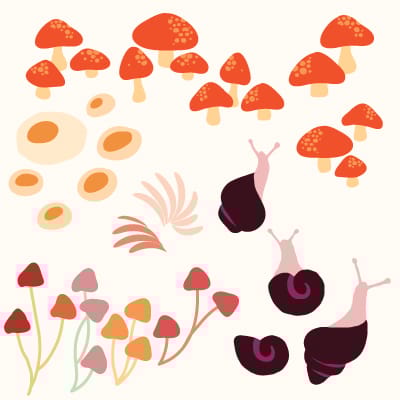 Mushrooms (class project) - image 1 - student project