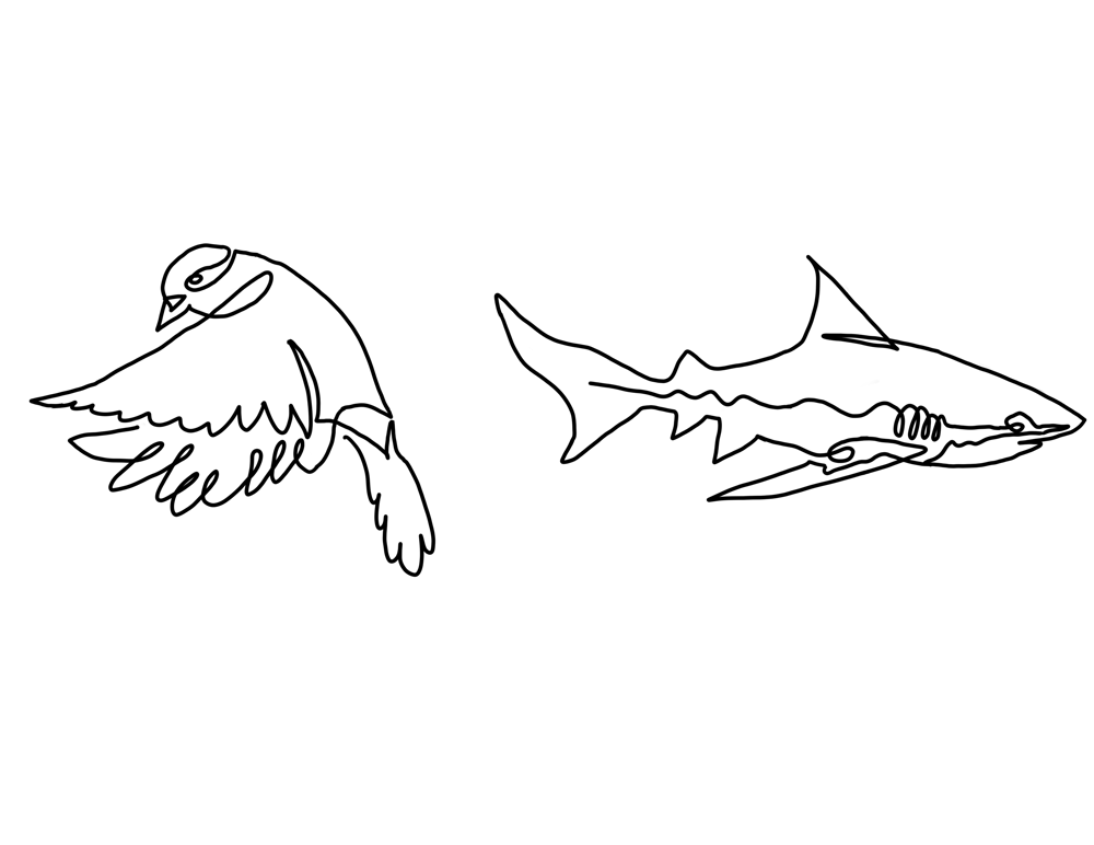 First attempt at one-line! - image 2 - student project