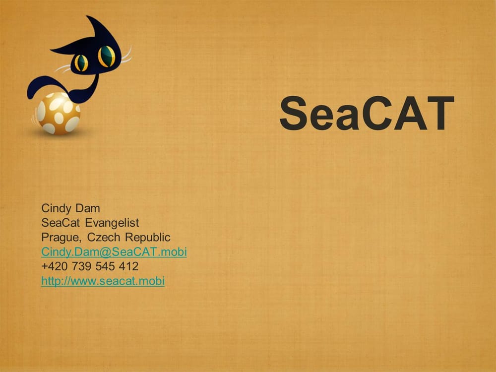 SeaCat - The Cats That Secure Your Mobile Solutions - image 1 - student project