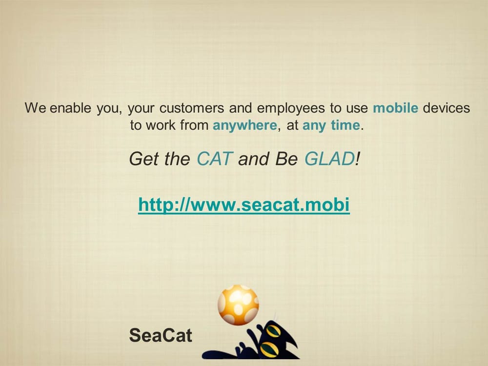 SeaCat - The Cats That Secure Your Mobile Solutions - image 11 - student project