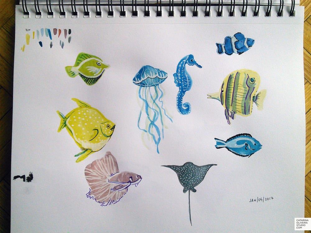 Sea Creatures & Cacti - image 2 - student project