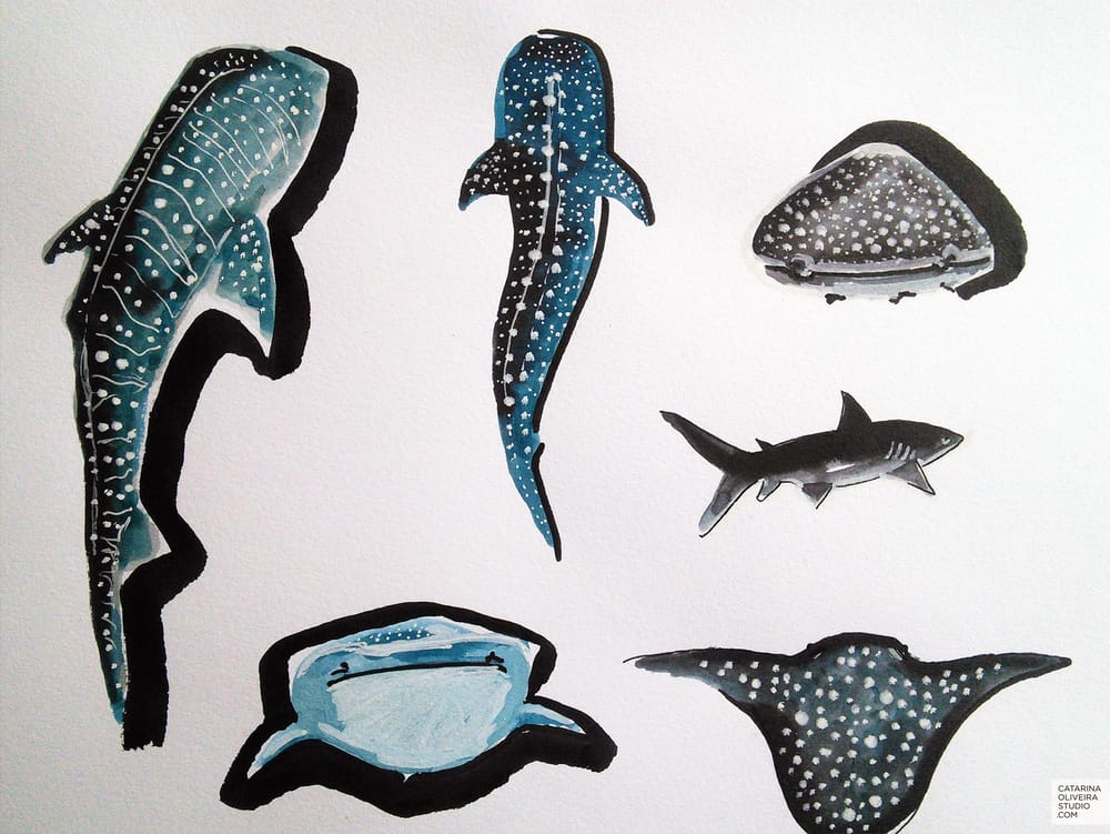 Sea Creatures & Cacti - image 3 - student project