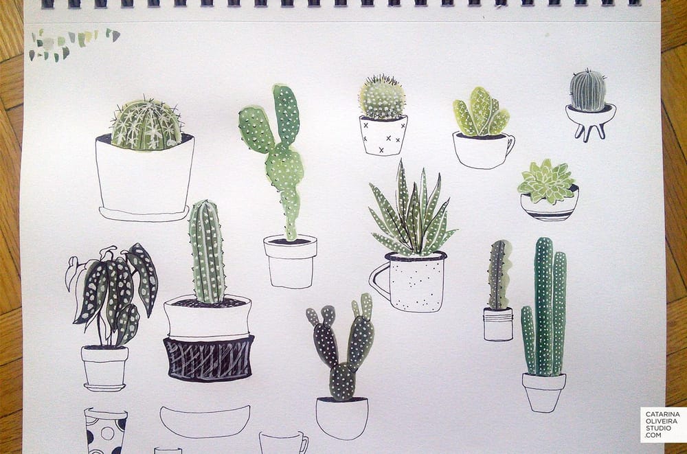 Sea Creatures & Cacti - image 5 - student project