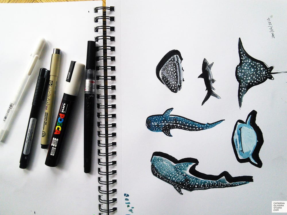 Sea Creatures & Cacti | Skillshare Student Project