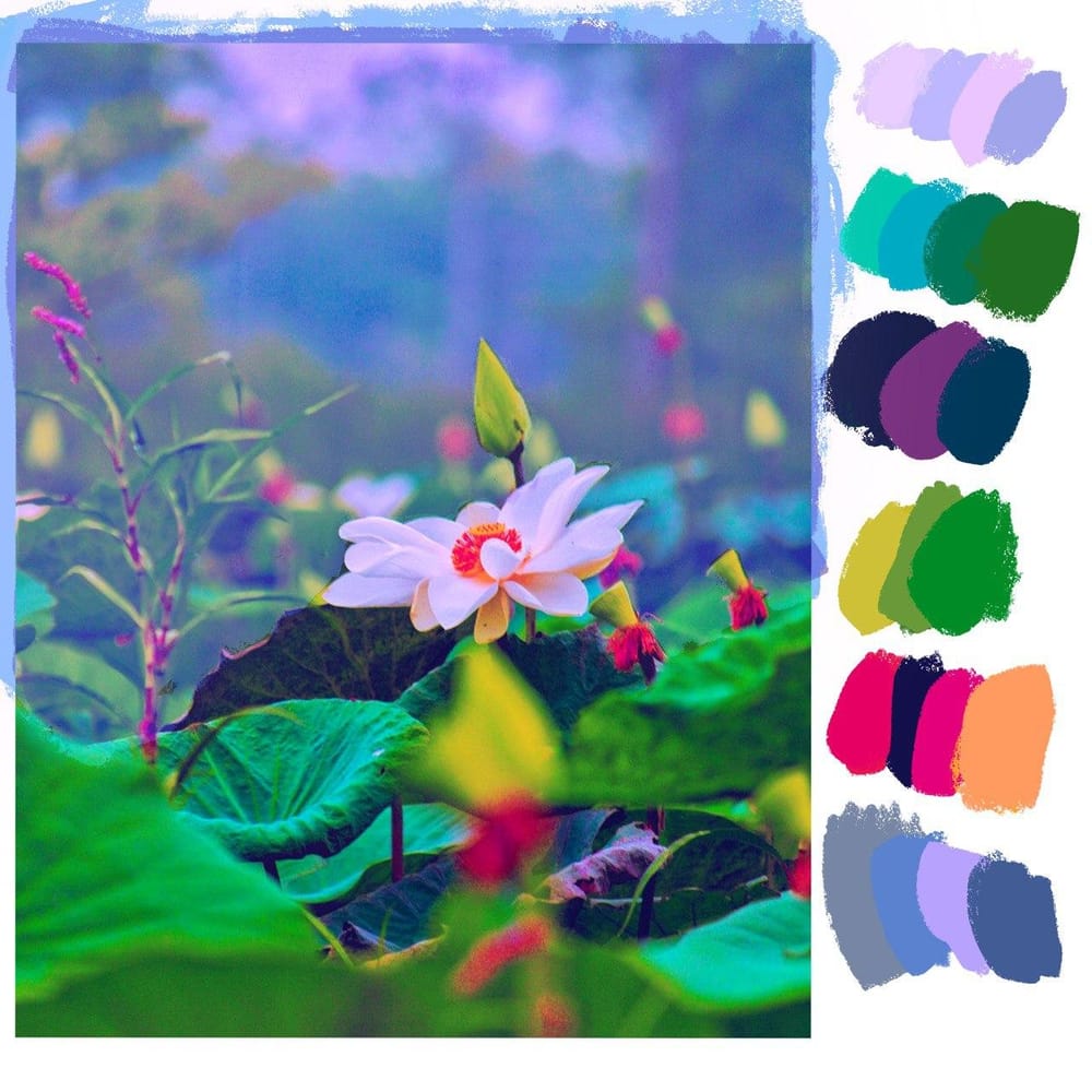 Lotus - image 2 - student project