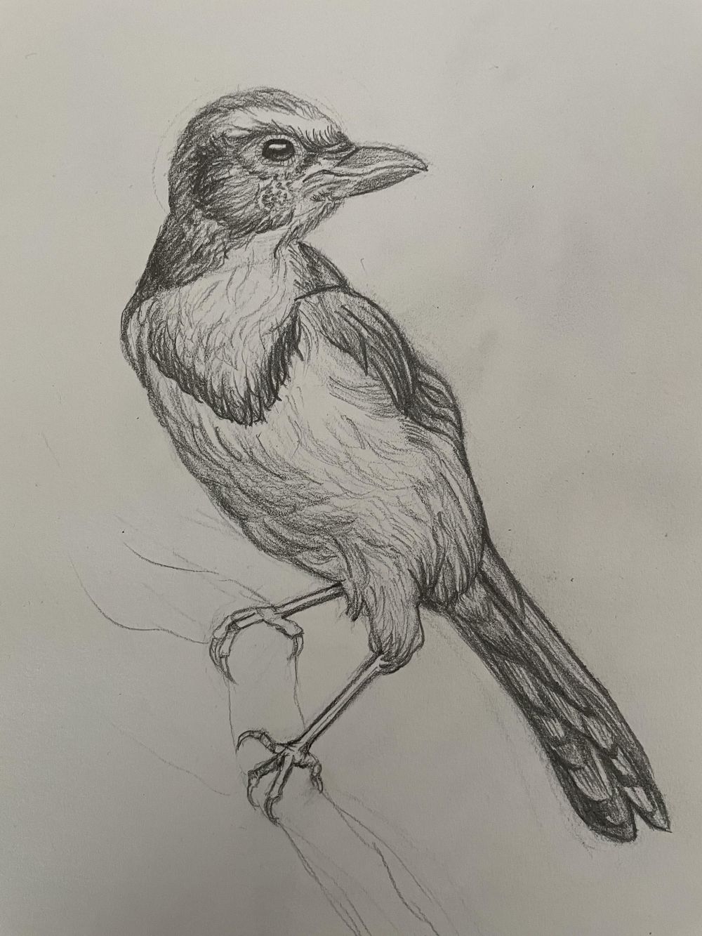 Drawing practices - image 3 - student project