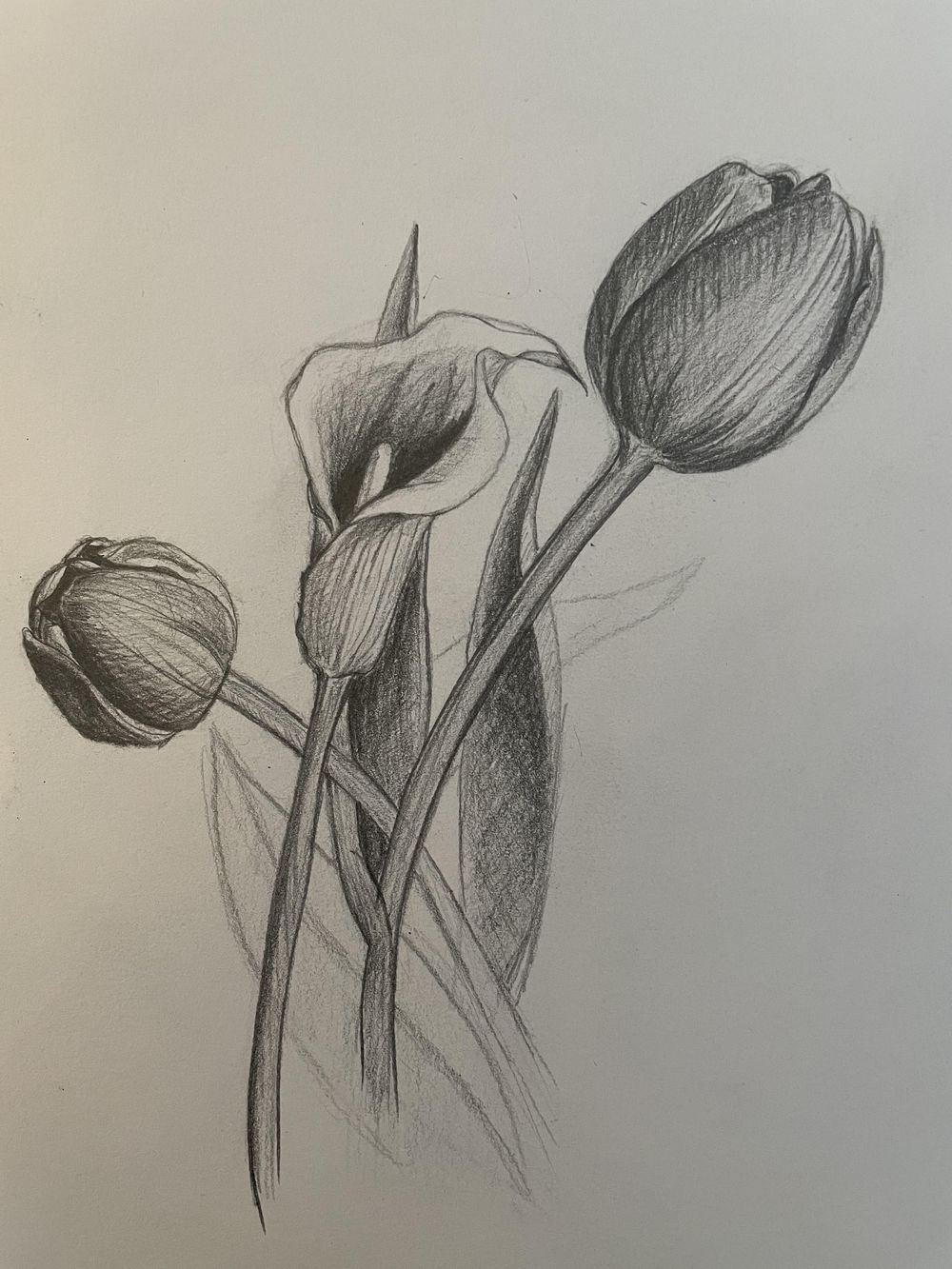 Drawing practices - image 1 - student project