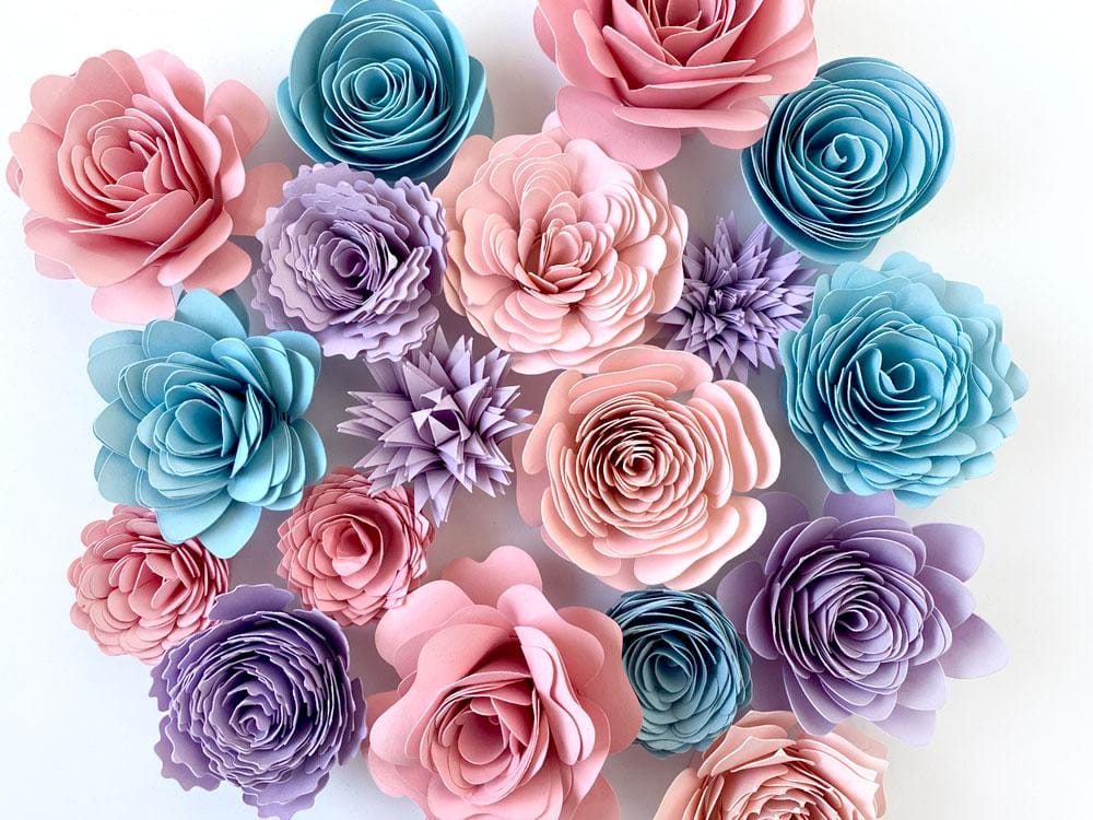 Flowers, flowers everywhere! - image 2 - student project