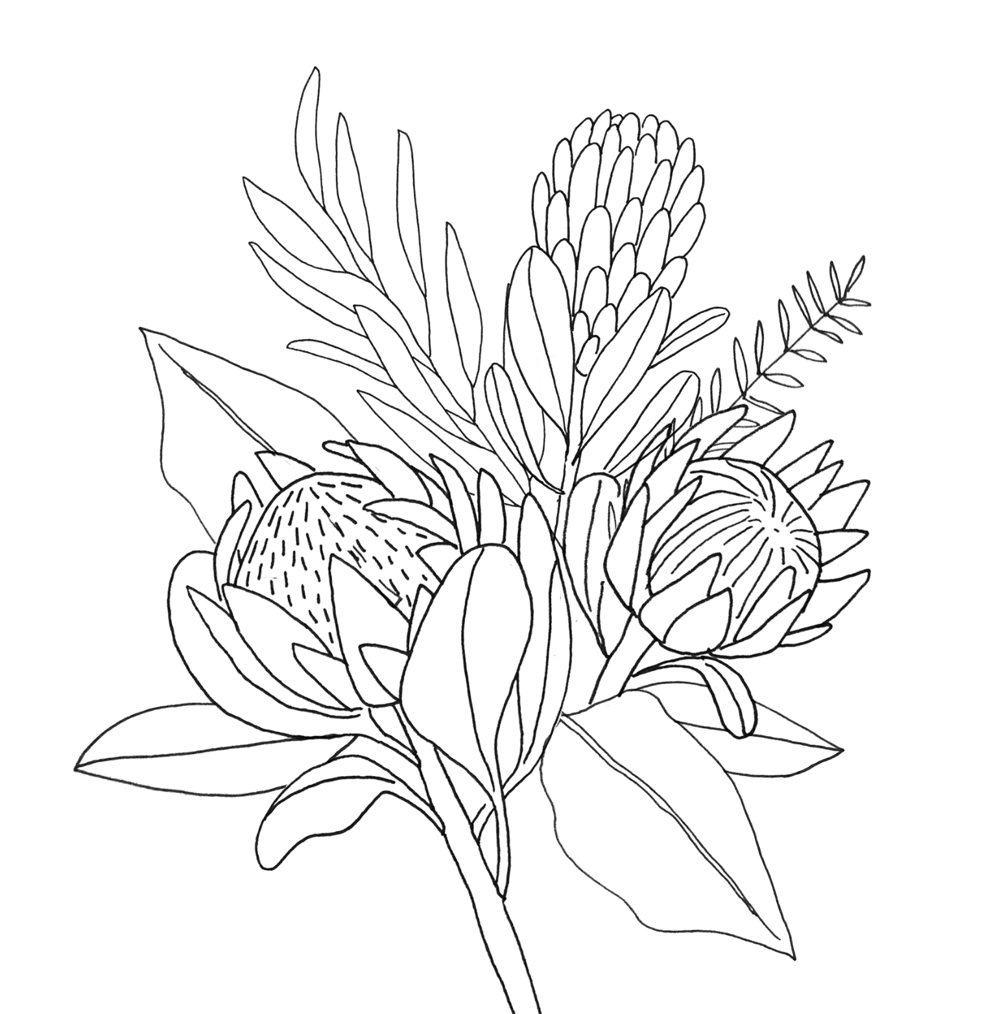King Protea & Eucalyptus - image 4 - student project