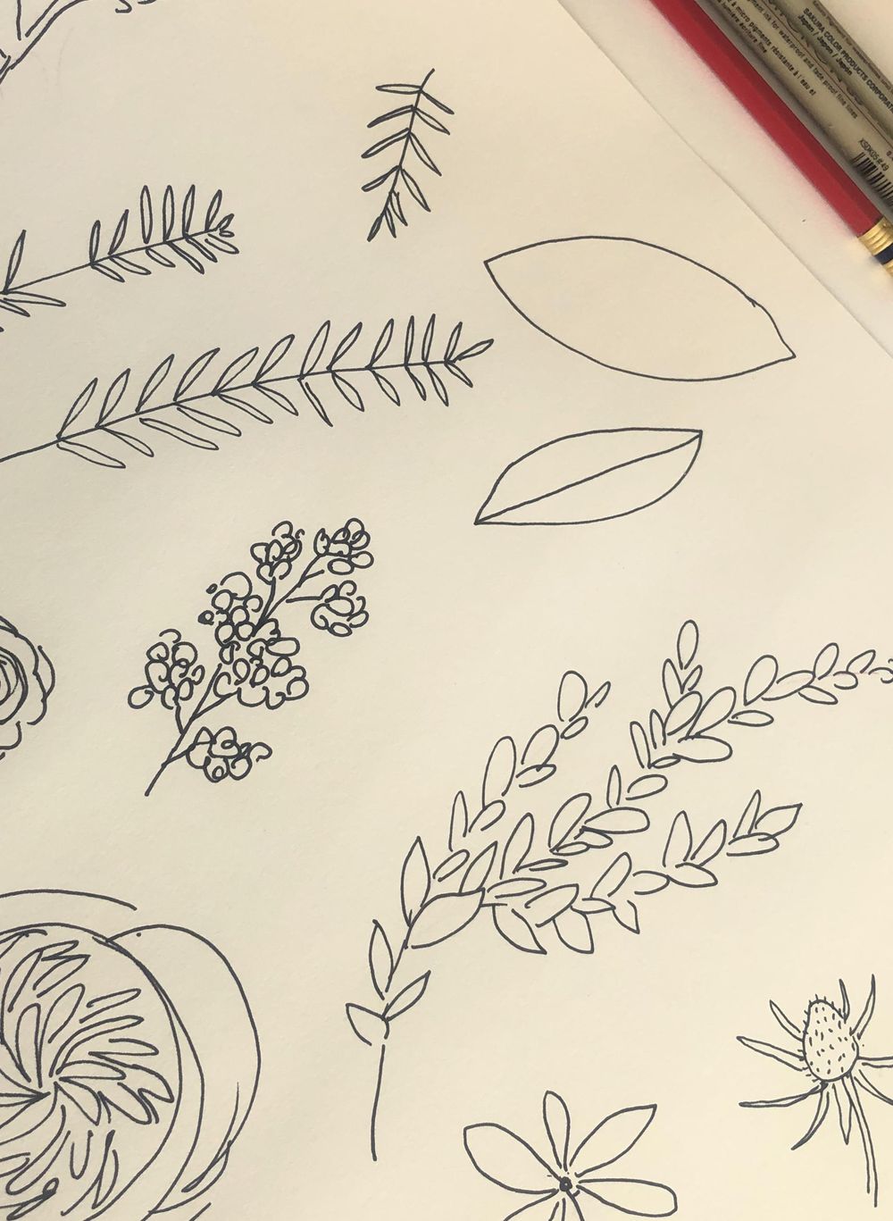 King Protea & Eucalyptus - image 3 - student project