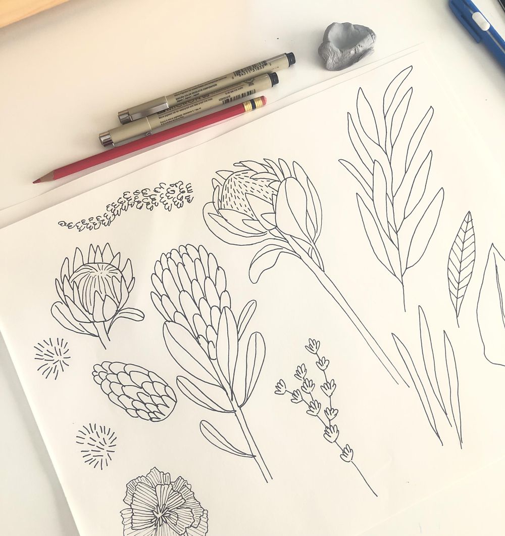King Protea & Eucalyptus - image 2 - student project