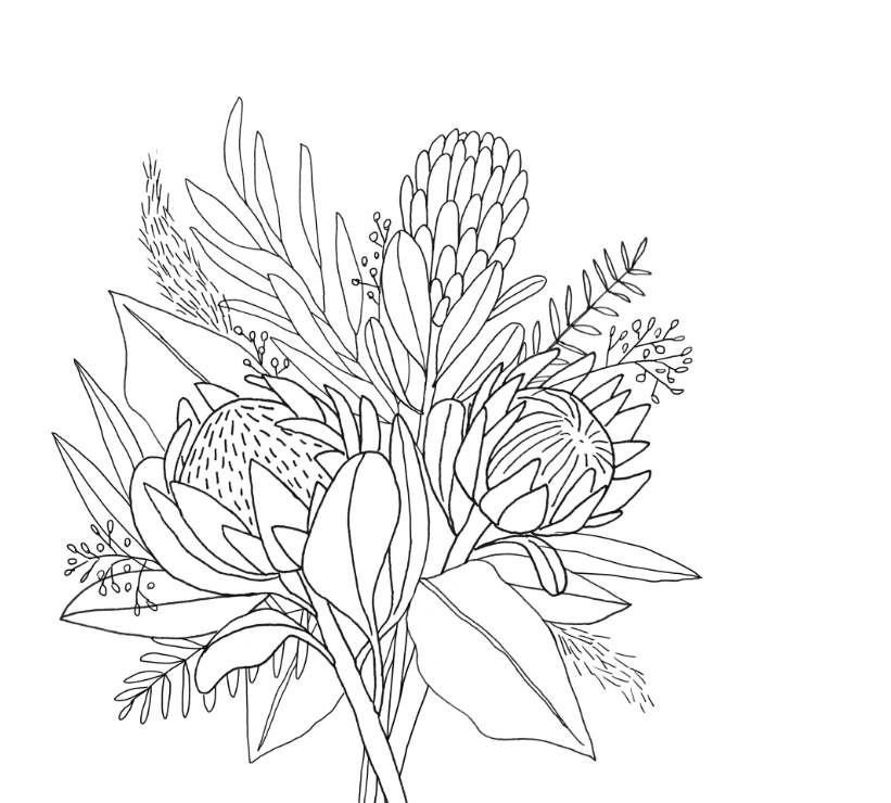 King Protea & Eucalyptus - image 5 - student project