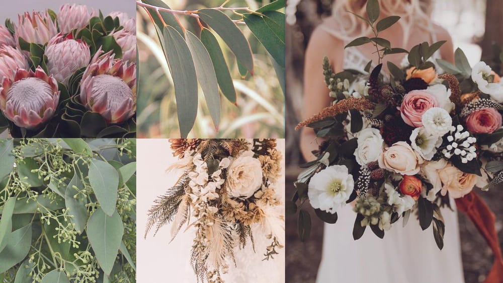 King Protea & Eucalyptus - image 1 - student project