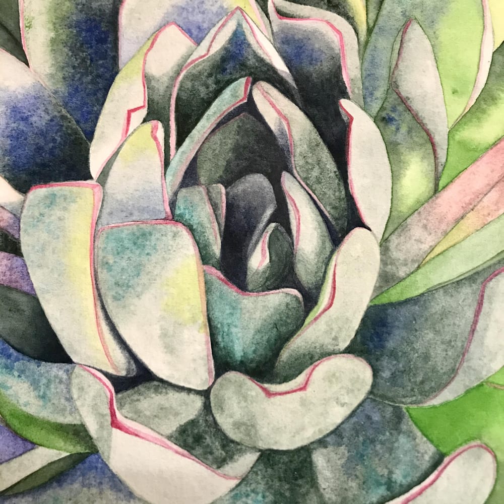 My Succulent - image 1 - student project