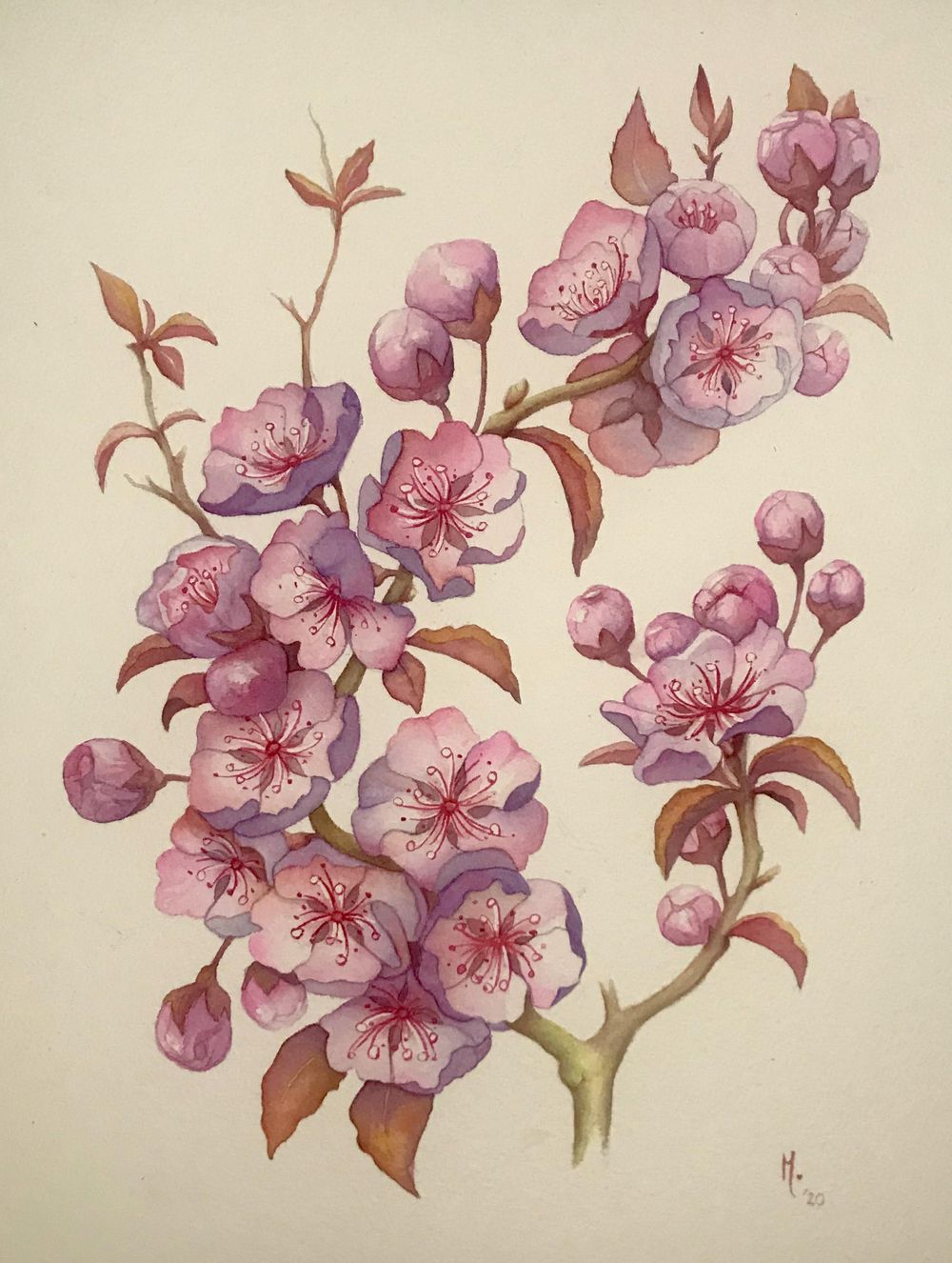 Fall Blossoms :) - image 1 - student project