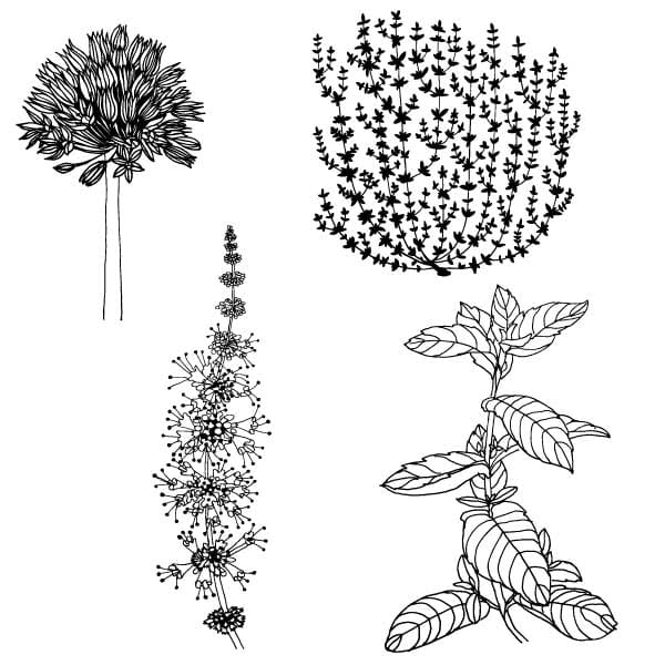 3 Focal Prints in 3 Weeks With Bonnie Christine - image 3 - student project