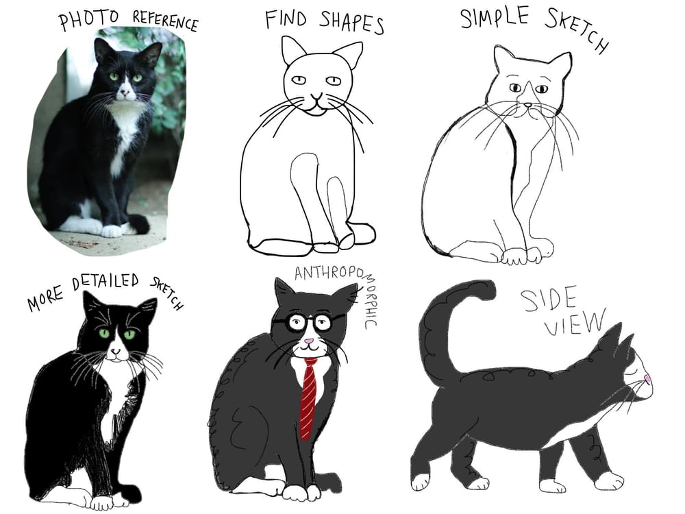 Cat sketches - image 1 - student project